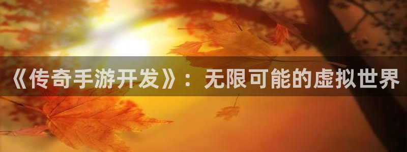 恩佐娱乐登陆：《传奇手游开发》：无限可能的虚拟世界