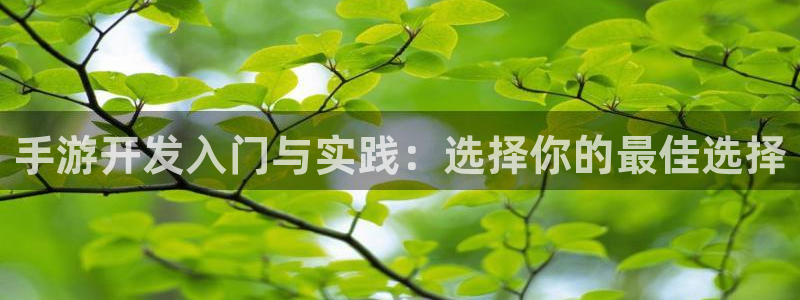 恩佐娱乐官方注册：手游开发入门与实践：选择你的最佳选择