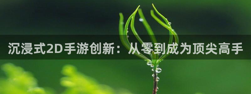 恩佐娱乐平台正规吗知乎：沉浸式2D手游创新：从零到成为顶尖高