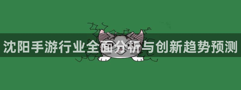 恩佐娱乐1：沈阳手游行业全面分析与创新趋势预测