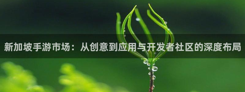 恩佐娱乐平台正规吗知乎:新加坡手游市场:从创意到应用与开发者