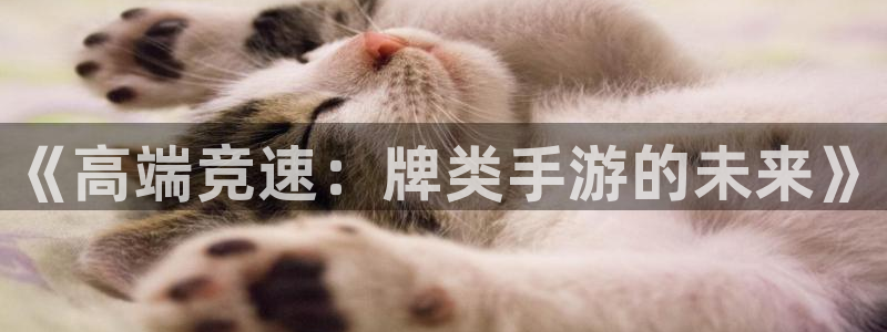 恩佐娱乐:《高端竞速:牌类手游的未来》
