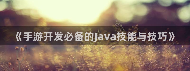 恩佐娱乐注册：《手游开发必备的Java技能与技巧》