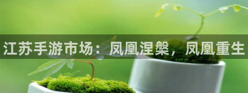 恩佐娱乐平台正规吗可靠吗：江苏手游市场：凤凰涅槃，凤凰重生