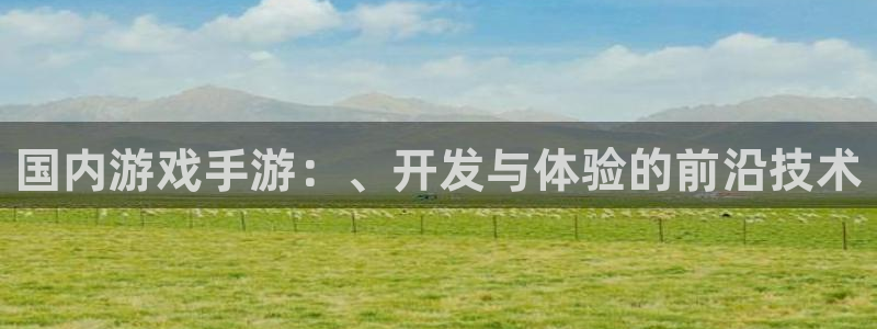 恩佐娱乐手机版最新功能介绍视频：国内游戏手游：、开发与体验的
