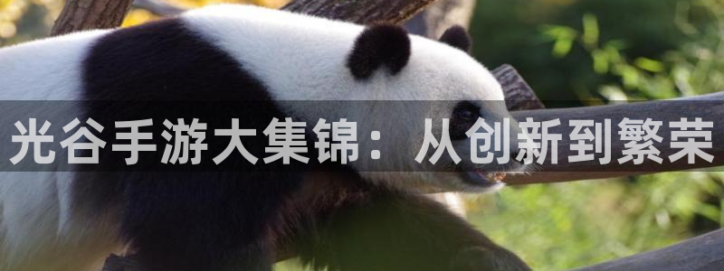 恩佐娱乐平台正规吗可靠吗：光谷手游大集锦：从创新到繁荣