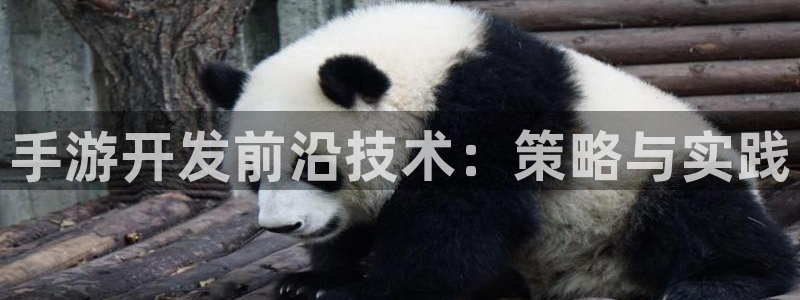 恩佐娱乐登陆：手游开发前沿技术：策略与实践