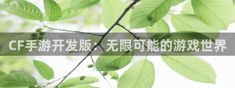 恩佐娱乐平台正规吗安全吗：CF手游开发版：无限可能的游戏世界