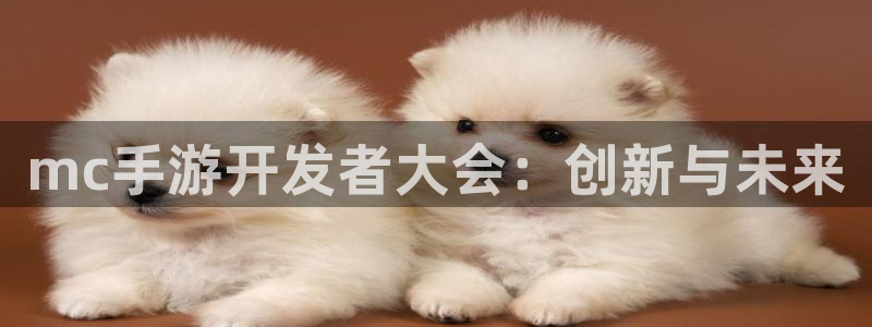 恩佐娱乐手机版最新功能介绍大全：mc手游开发者大会：创新与未