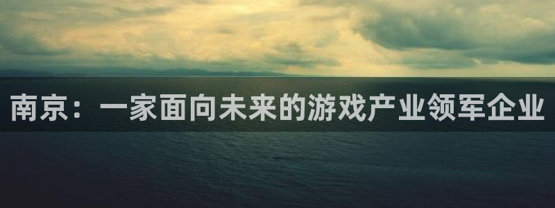 恩佐娱乐平台正规吗可靠吗：南京：一家面向未来的游戏产业领军企