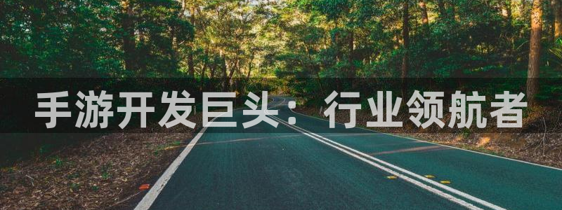 恩佐娱乐手机版最新功能介绍视频：手游开发巨头：行业领航者