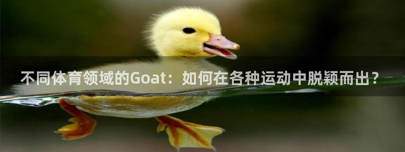bbin视讯游戏官网