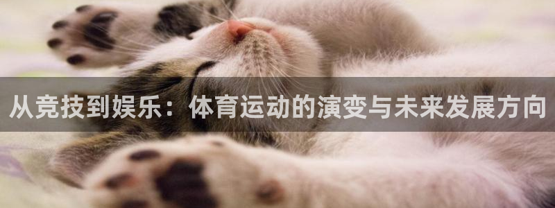 bbin视讯下