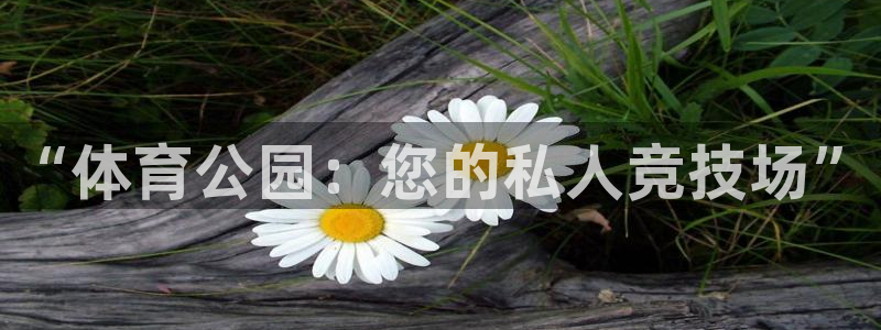 bbin视讯下