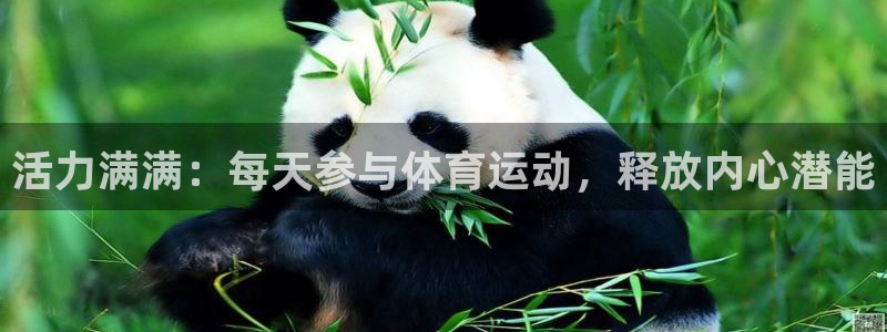 bbin视讯下