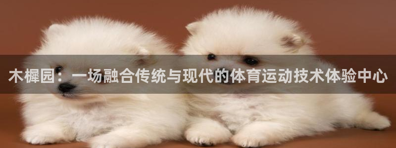 bbin视讯