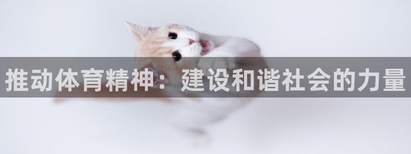bbin视讯：推动体育精神：建设和谐社会的力量