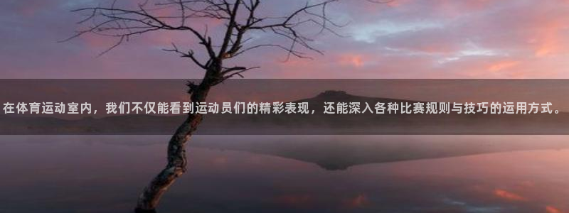 bbin视讯下：在体育运动室内，我们不仅能看到运动员们的精彩表现，还能深入各种比赛规则与技巧的运用方式。