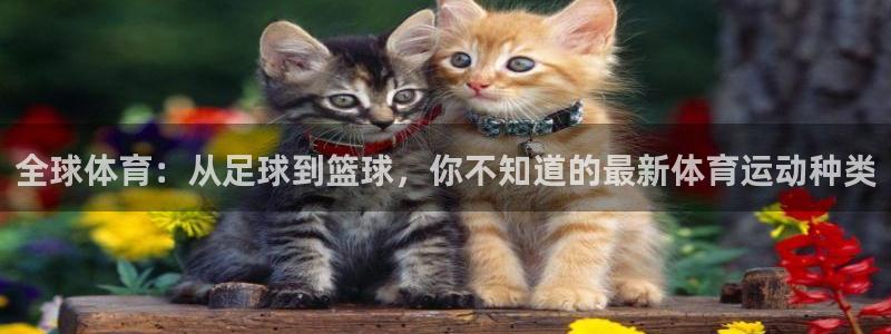 bbin视讯游戏官网