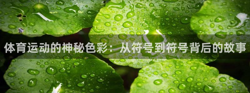 bbin视讯