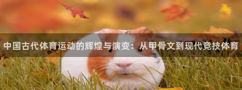 bbin视讯
