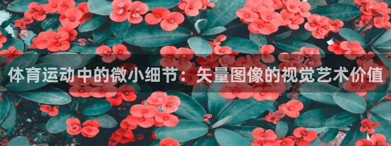 bbin视讯下：体育运动中的微小细节：矢量图像的视觉艺术价值
